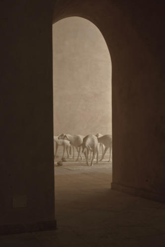 RITRATTO DI UN GREGGE(paesaggio della memoria)2008